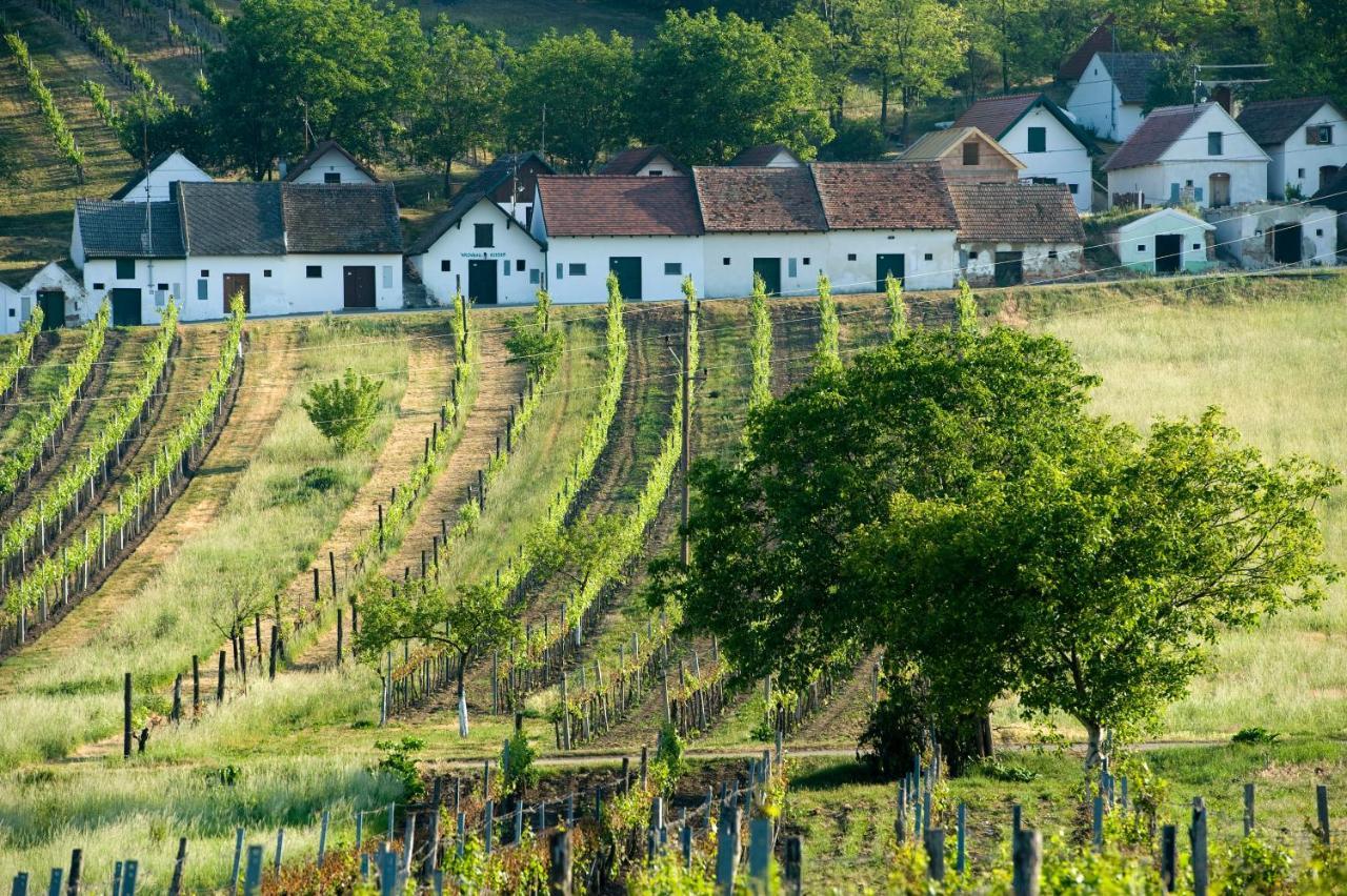 Weinhotel Rieder Poysdorf Bagian luar foto